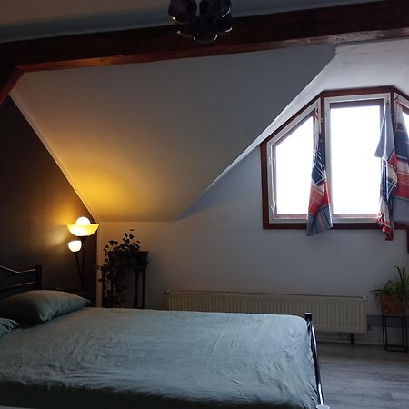 Mansarda Apartment Cluj Napoca Bagian luar foto