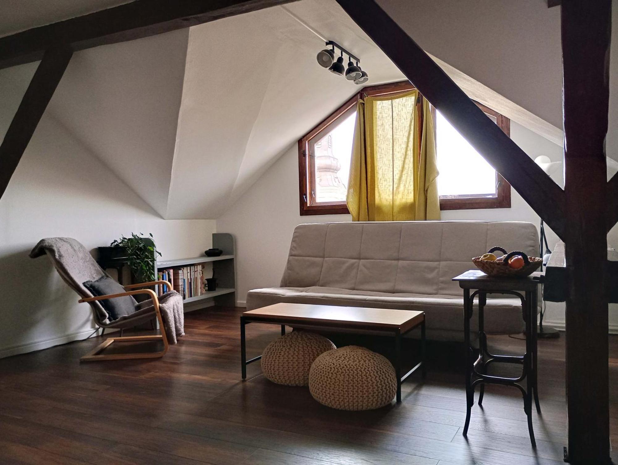 Mansarda Apartment Cluj Napoca Bagian luar foto