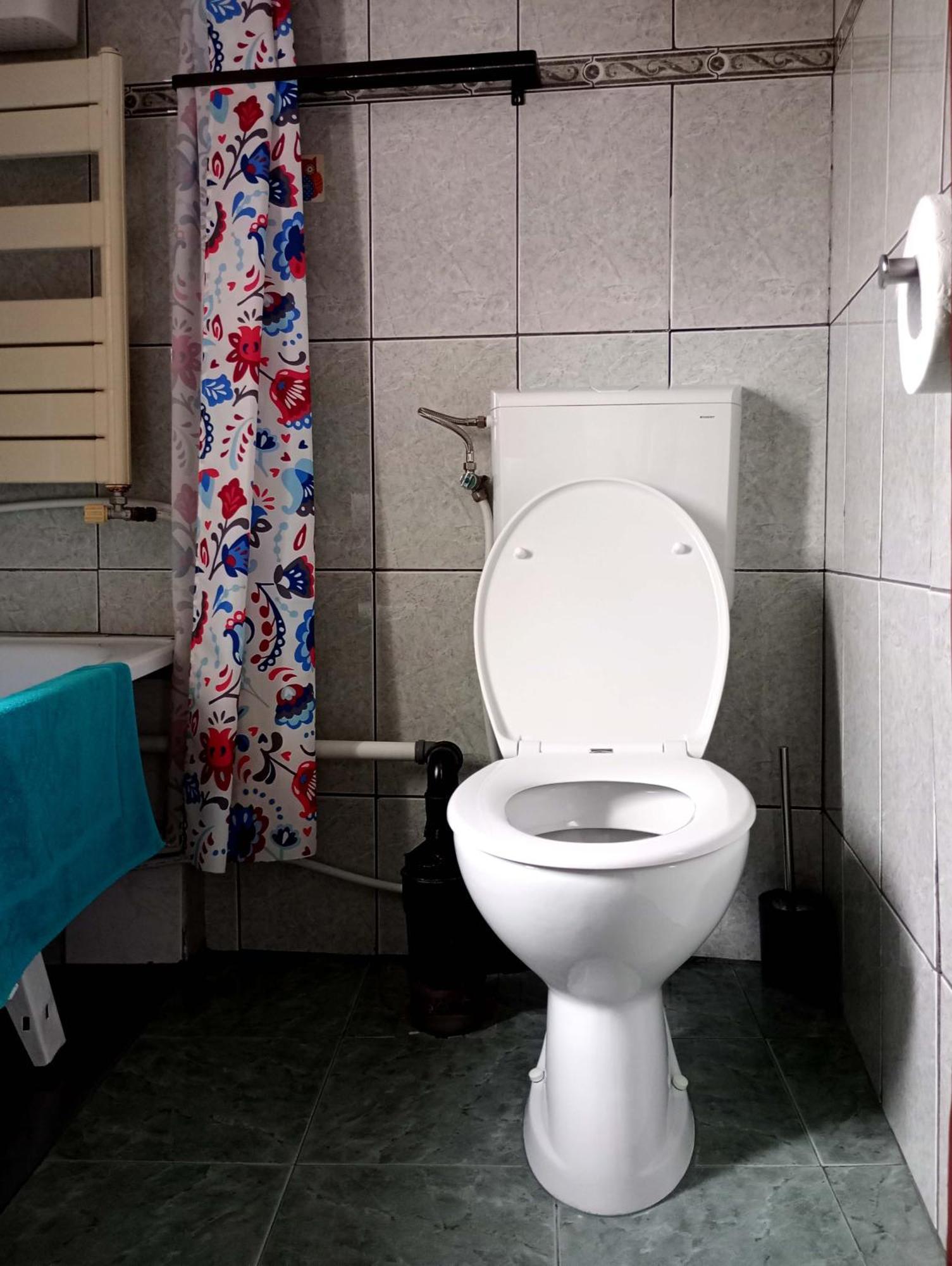 Mansarda Apartment Cluj Napoca Bagian luar foto