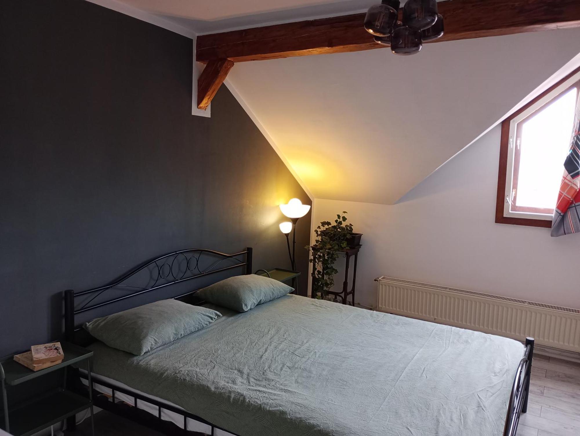 Mansarda Apartment Cluj Napoca Bagian luar foto