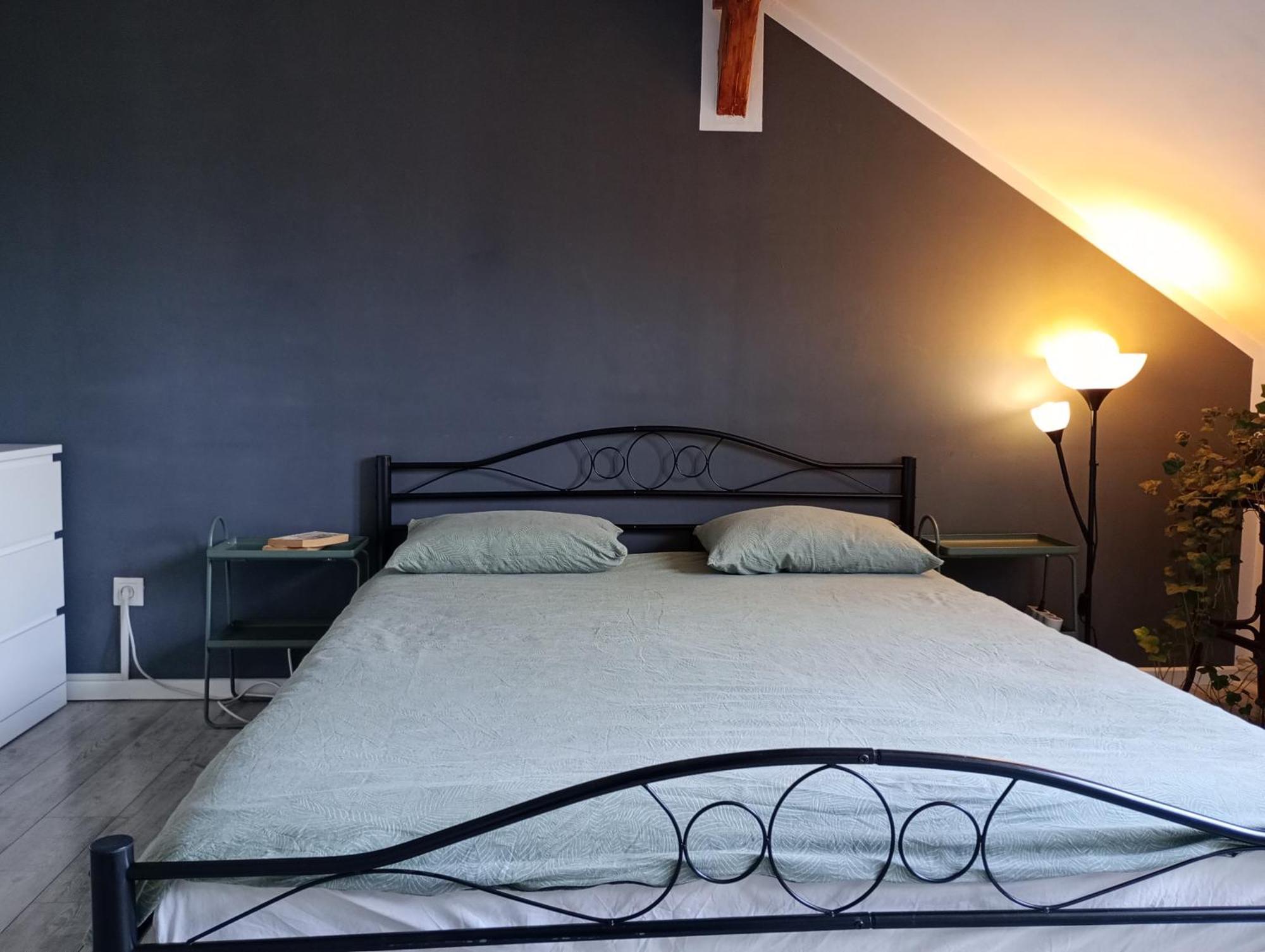 Mansarda Apartment Cluj Napoca Bagian luar foto